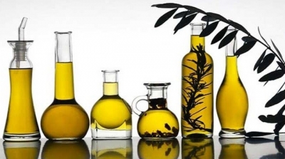 La Tunisie bientôt 2ème producteur mondial d’huile d’olive