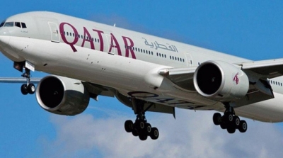 طائر نورس يعطل رحلة لإجلاء تونسيين من قطر