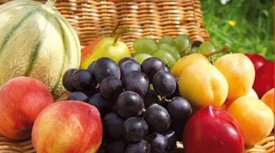 تونس : تراجع كبير في صادرات الغلال