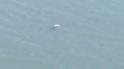 شاب ينتحر بإلقاء نفسه من قنطرة رادس