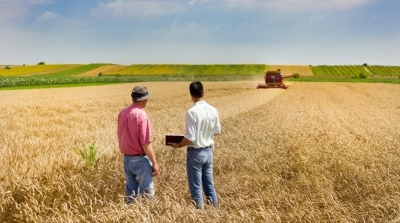 رئيس نقابة الفلاحين: مؤشرات الموسم الفلاحي واعدة