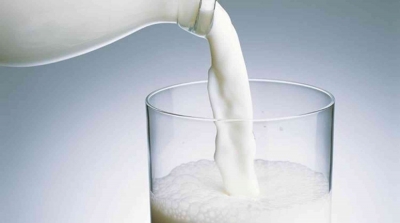 تونس مهددة بإتلاف ملايين لترات الحليب 