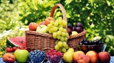 تراجع صادرات الغلال بنسبة 46 %