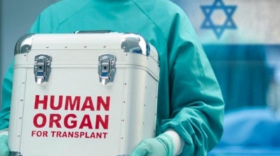 زغوان : شاب عاطل عن العمل يسافر الى تركيا و يبيع كليته بـ41 ألف دينار