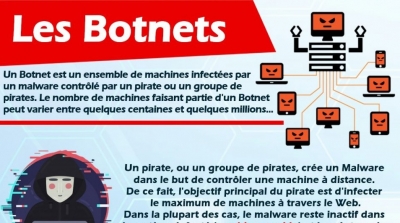 L'ANSI met en garde contre le 'Botnet' un piratage qui prend le contrôle d'une machine