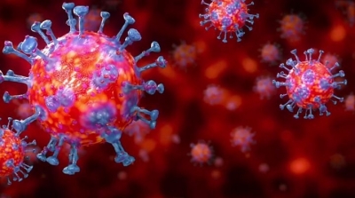 Tunisie-Coronavirus: 32 décès et 635 contaminations