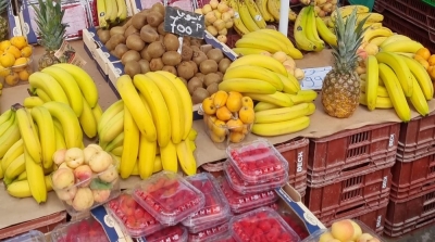 Vers l'exportation de 80 mille tonnes de fruits à noyau principalement vers la Libye