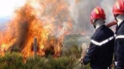 Tunisie-Protection civile : 97 incendies maîtrisés en une seule journée