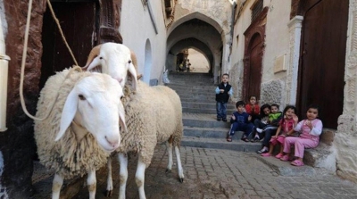 Aïd alAdha : l’UTAP fixe le prix référentiel unifié de vente des moutons de sacrifice