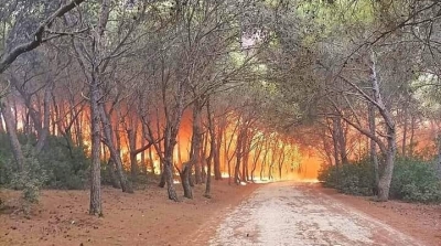 Tunisie : Plus de 150 incendies déclarés ces dernières 36 heures