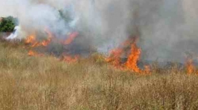 Zaghouan : Plus de 500 hectares de la forêt de Djebel Oum Labweb ravagés