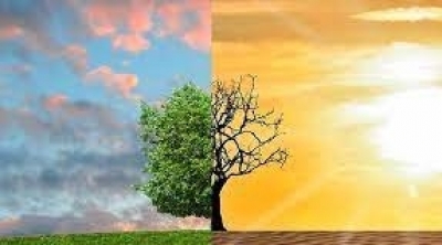 Pleins feux sur les efforts de la Tunisie et de la communauté internationale pour atténuer les effets des changements climatiques