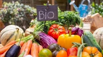 La Tunisie accueillera en 2024 le congrès mondial de l’agriculture biologique