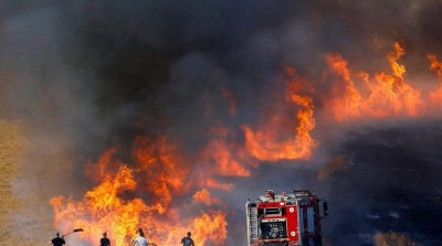Tunisie-Incendies des forêts : Forte hausse des surfaces brûlées en 2021
